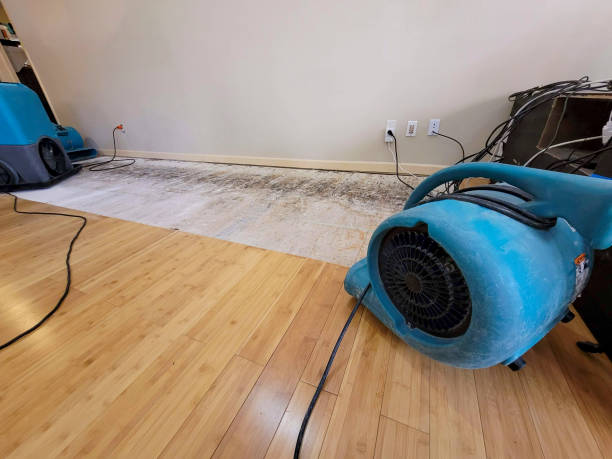 Professional Water Damage Repair technician working in Kittery, ME